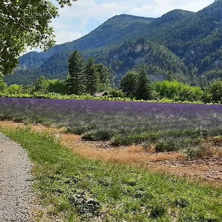 Mas Des Collines Avec Vue Montagnes & Piscine * Châteauneuf-de-Bordette